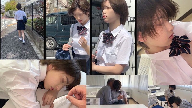 サンプル画像